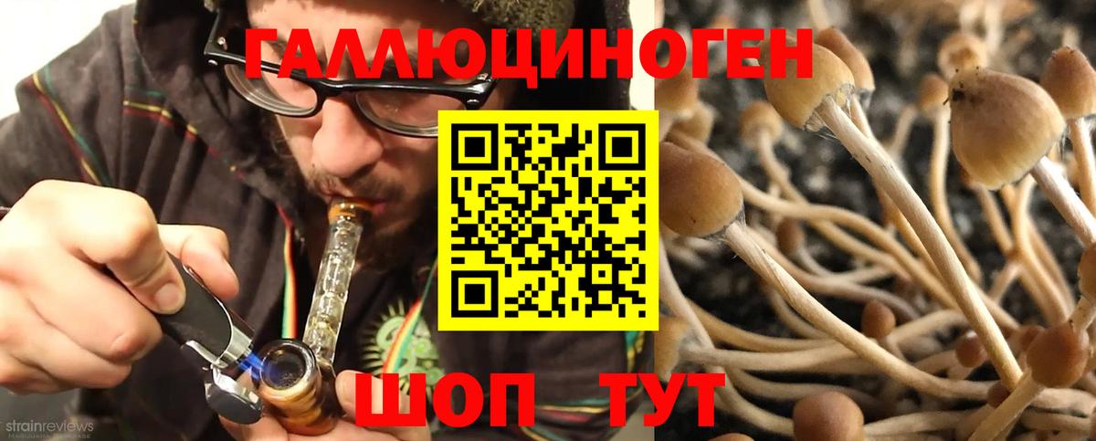 Галлюциногенные грибы GOLDEN TEACHER  Вход с VPN  Псилоцибиновые грибы прущие грибы  Стрежевой 